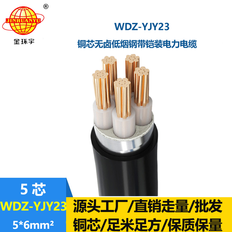 金環(huán)宇電線電纜 無鹵低煙交聯(lián)鎧裝電力電纜 WDZ-YJY23-5x6平方